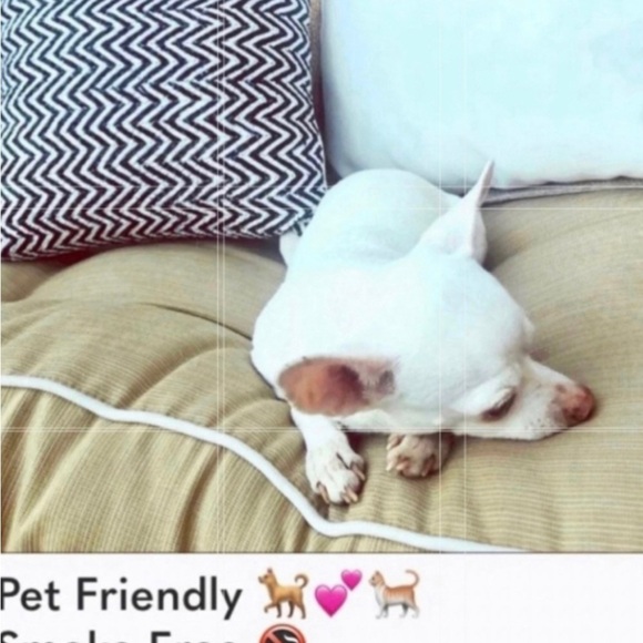 L-SPACE TO THE LIMIT TOP OVERSIZED RIBBED CUFFS COLOR BLOCKED SLEEVES - Picture 13 of 16